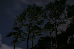 星の光を受けて