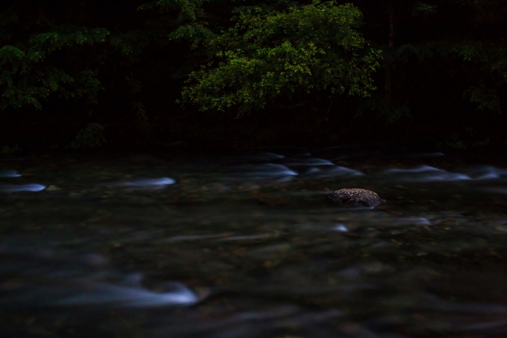 夜の渓流