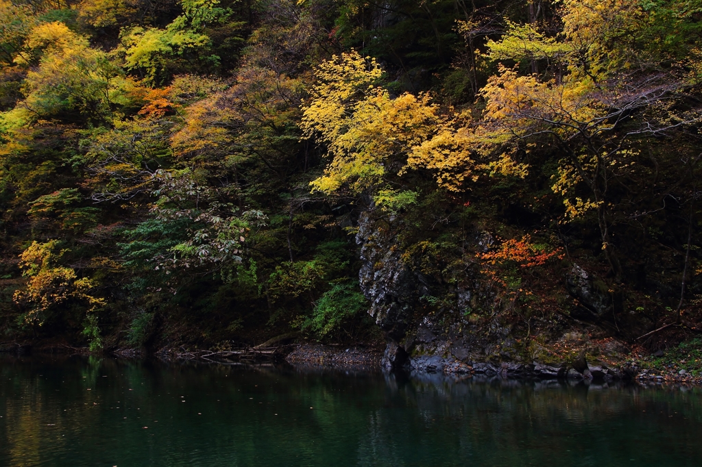 川辺の紅葉