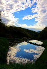 初夏の風景