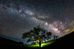 夏の夜の出会い