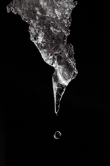 IMGP1980