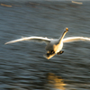 LANDING