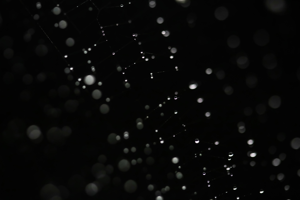 雨