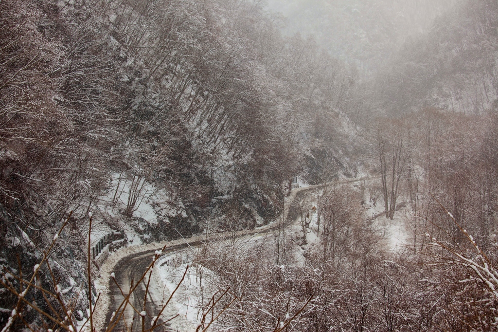 雪道