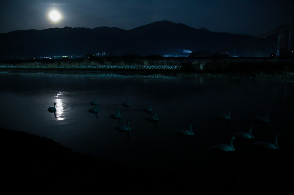 真夜中の行進