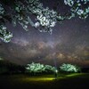夜桜と天の川
