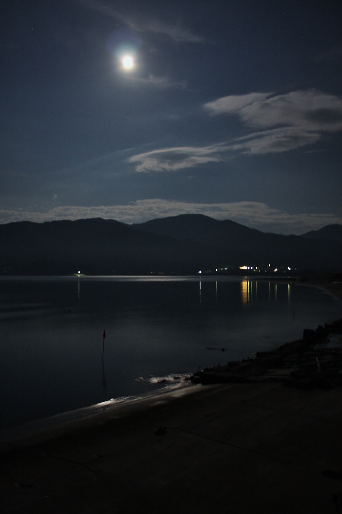 月夜の金浜