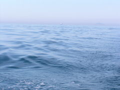 wave