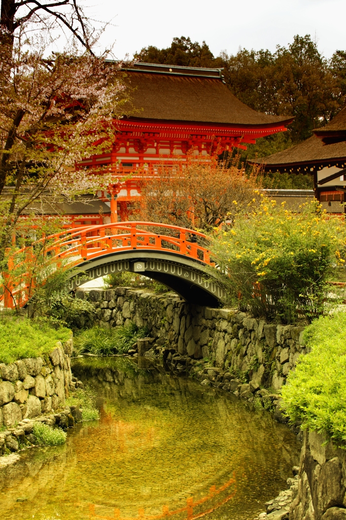 世界遺産 下鴨神社