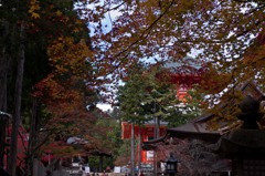 早朝にもかかわらず