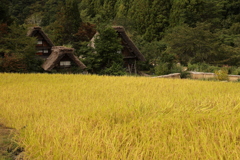 実りの秋