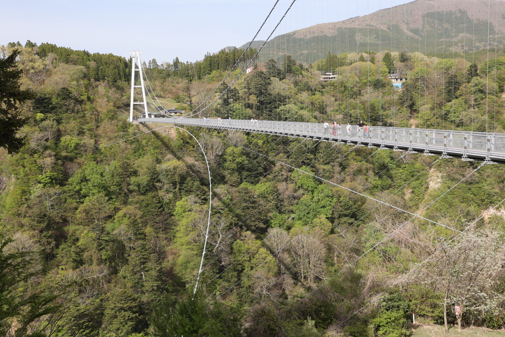 九重夢大吊り橋5