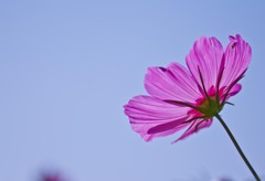 透かして見れば