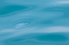 海からの見学者