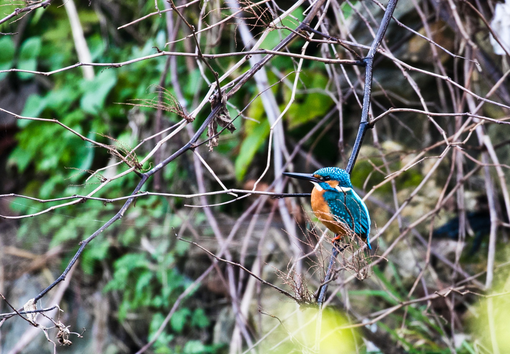 初めての出会い
