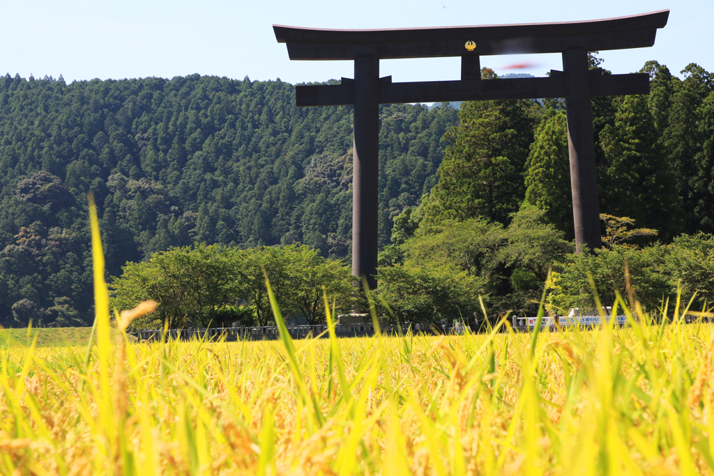 日本第一の鳥居