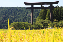日本第一の鳥居