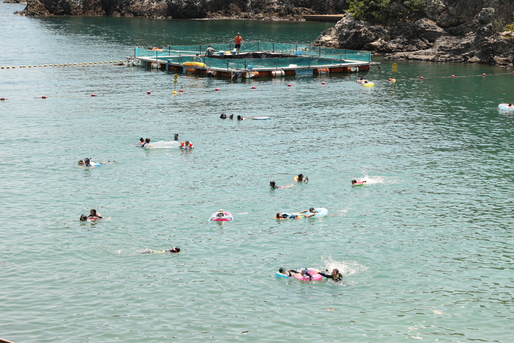 夏休み