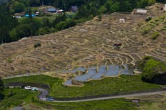 田植え準備