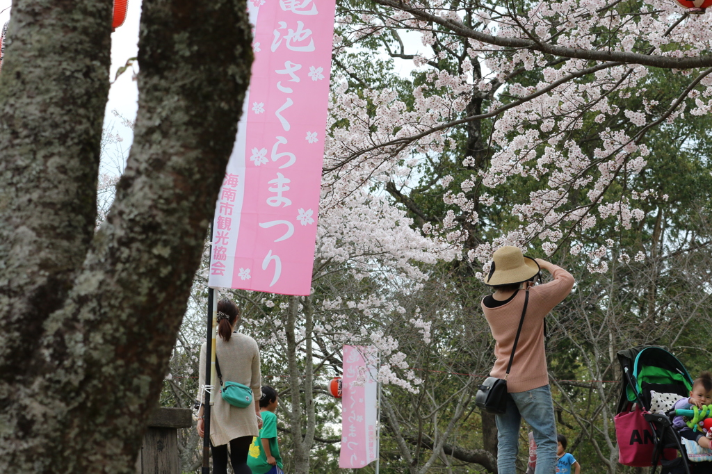 綺麗に撮れたのかな？