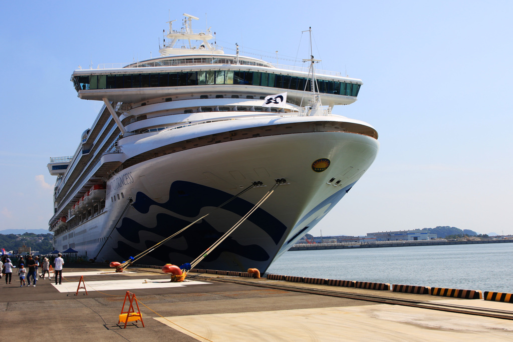 ダイヤモンドプリンセス