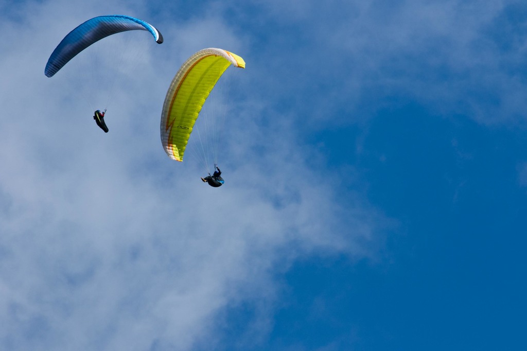 ﾊﾟﾗｸﾞﾗｲﾀﾞｰ