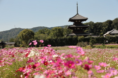 法起寺法起寺