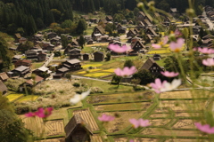 秋の白川郷
