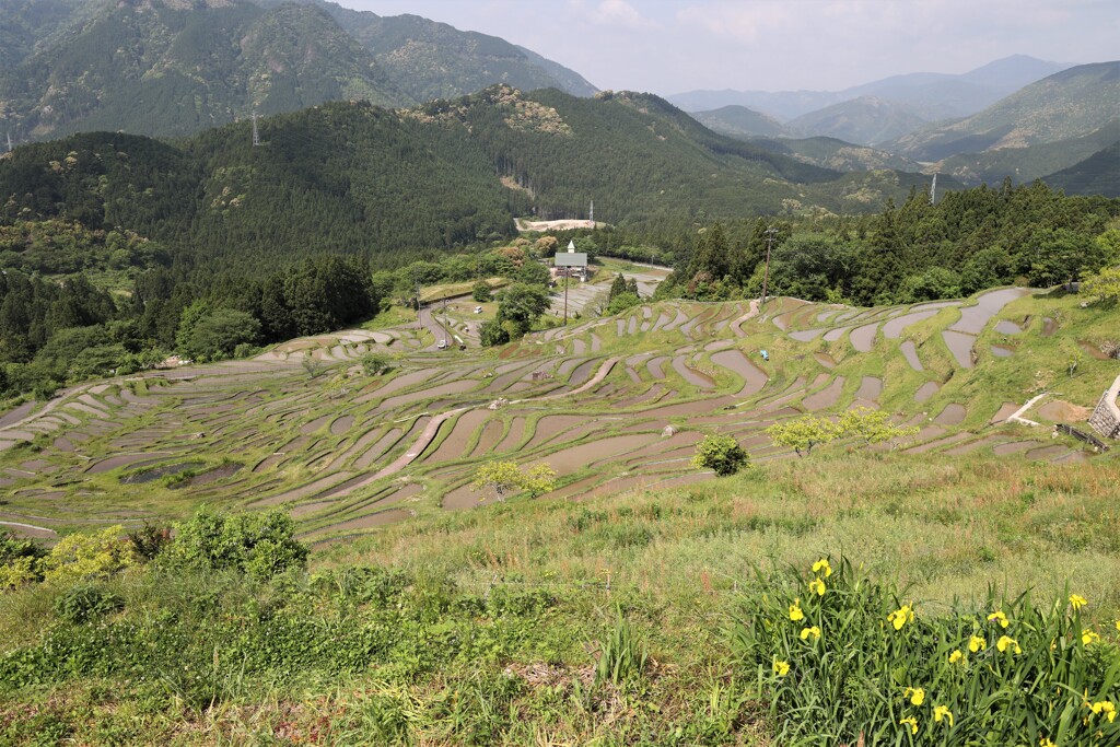 丸山千枚田