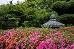 埋もれて