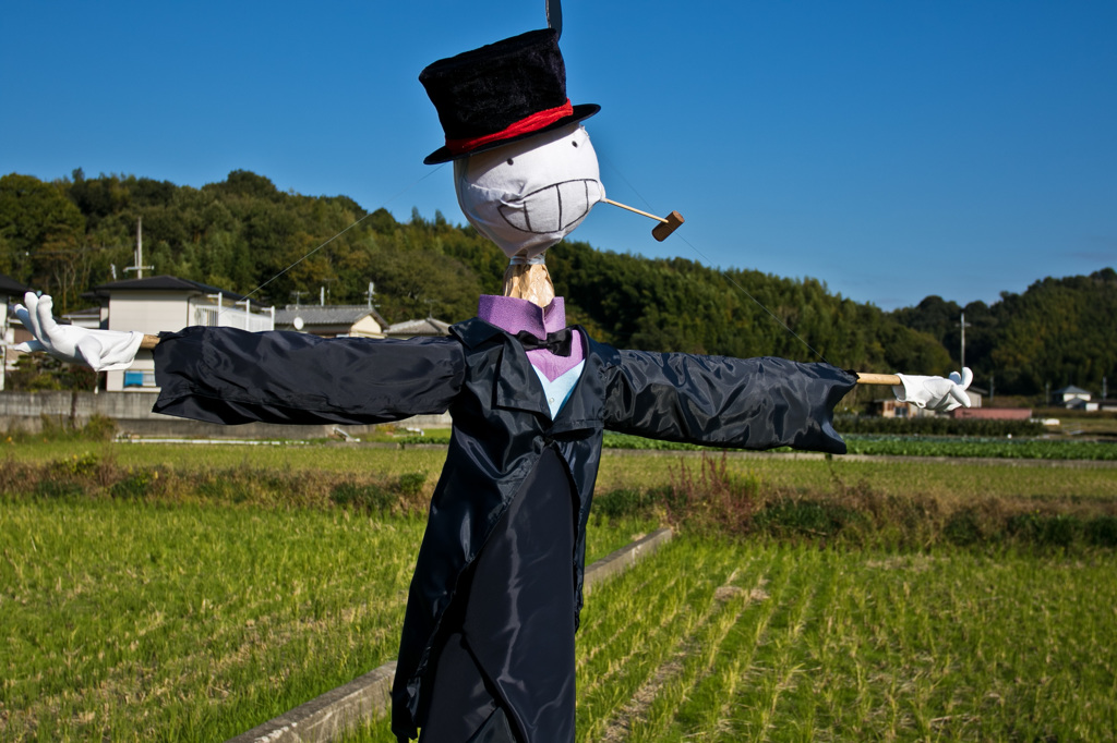 ユニークな案山子