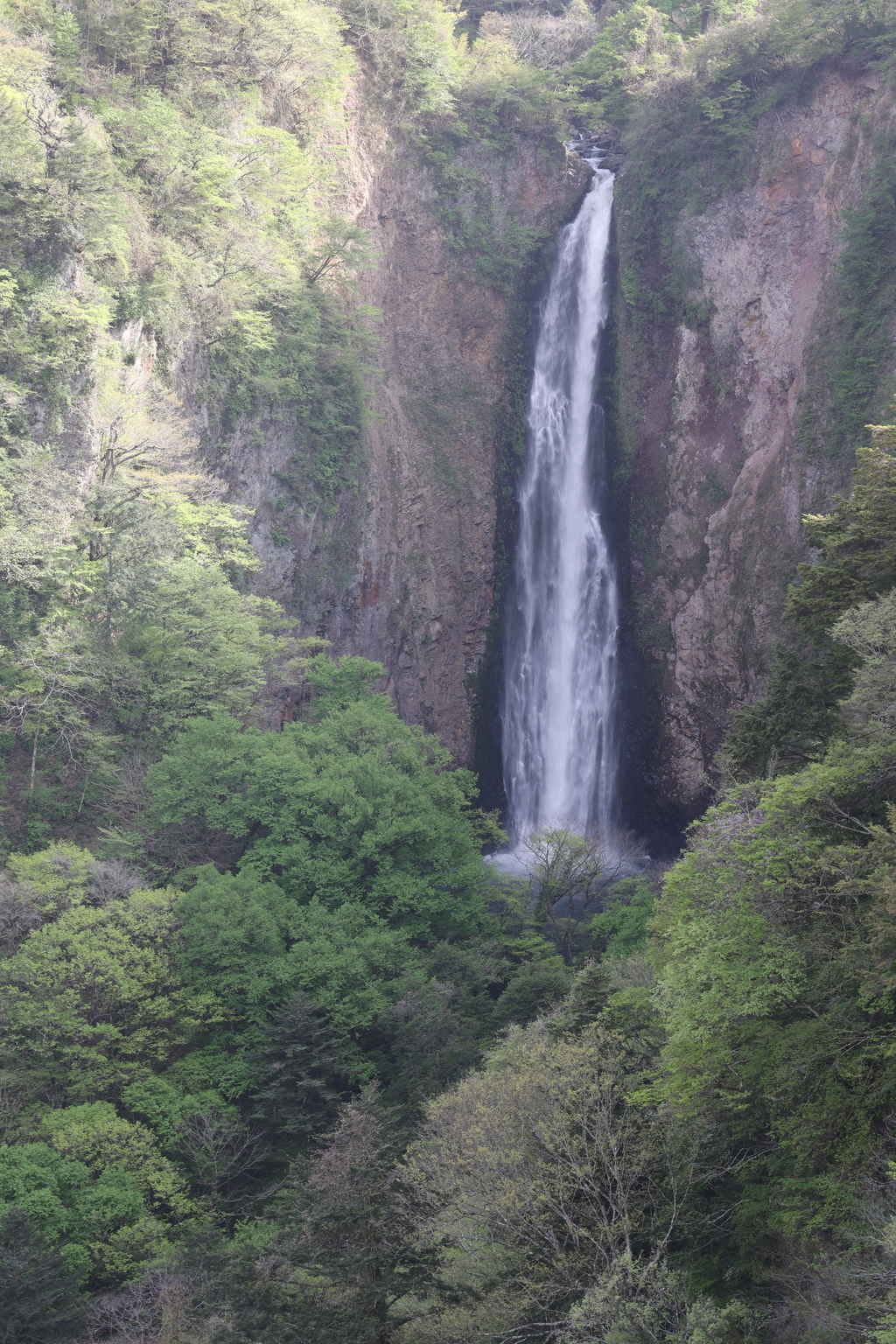 震動の滝6