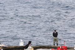 釣れますか？