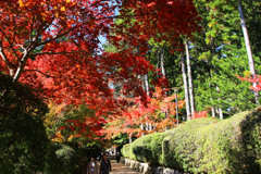お決まりの場所