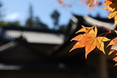 グラデーション