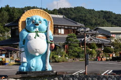 青タヌキ