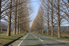 初めて