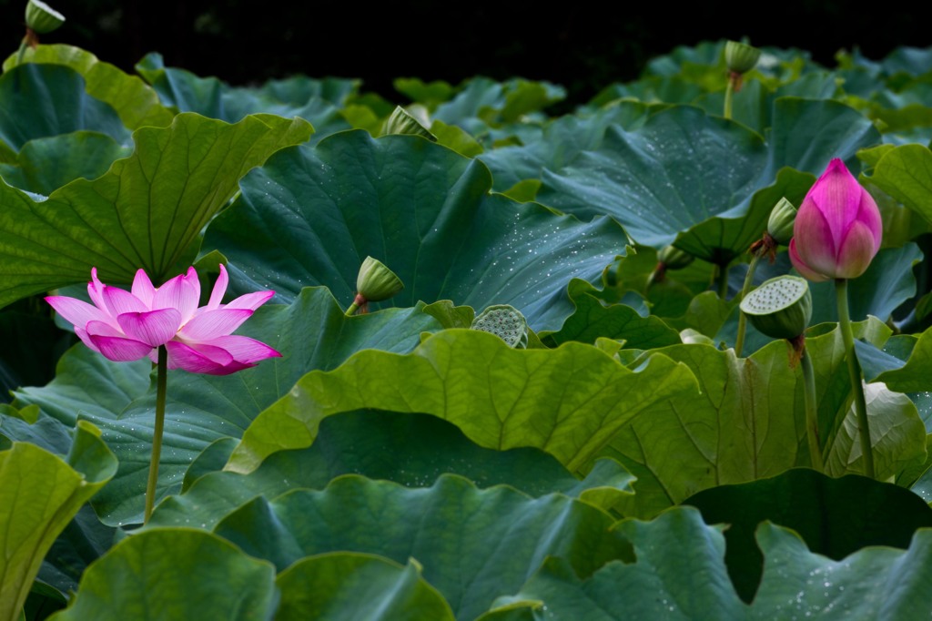 使用前　使用中　使用後？
