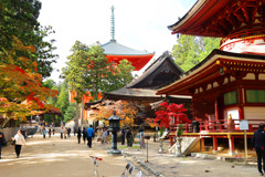 紅葉を愛でる人たち