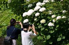 綺麗に撮ってね