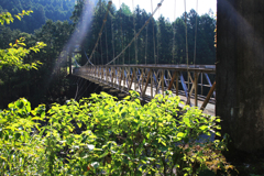 吊り橋シリーズ