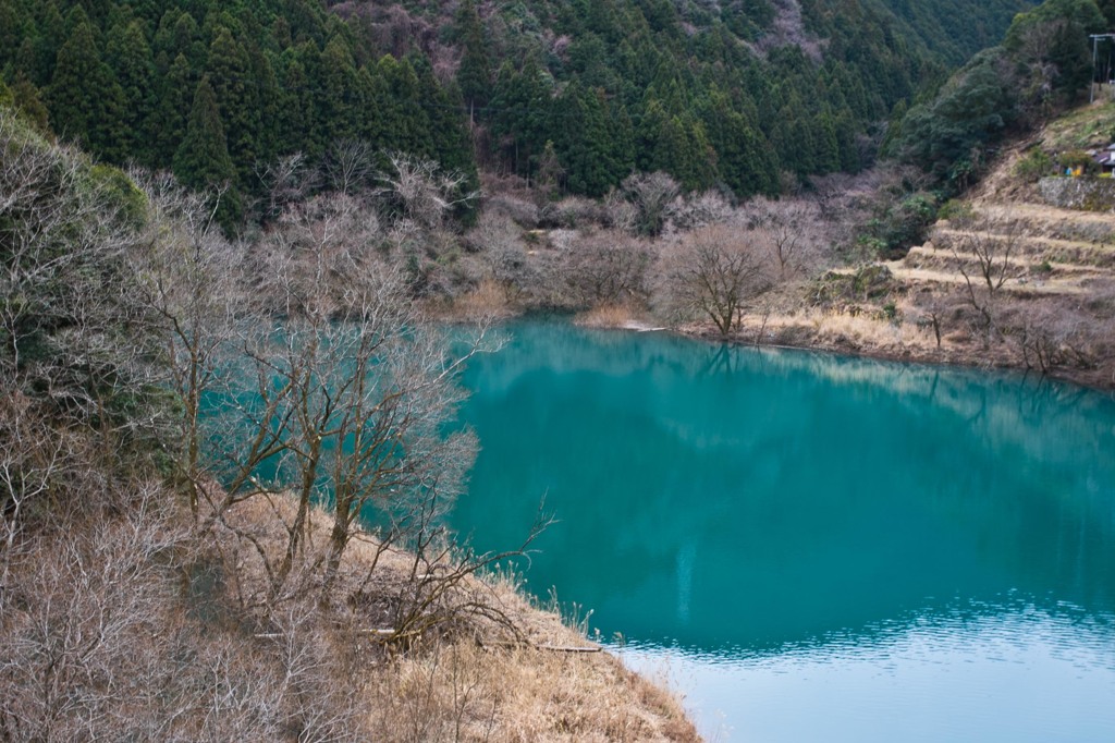 エメラルドグリーン