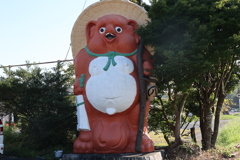 赤タヌキ