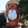 赤タヌキ