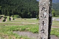 丸山千枚田