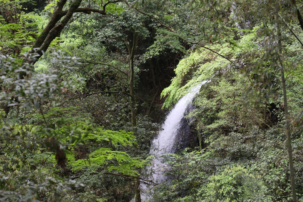 白糸の滝