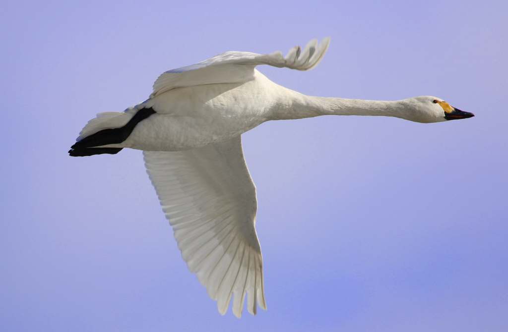 カッコいい～！