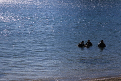 別世界への入り口