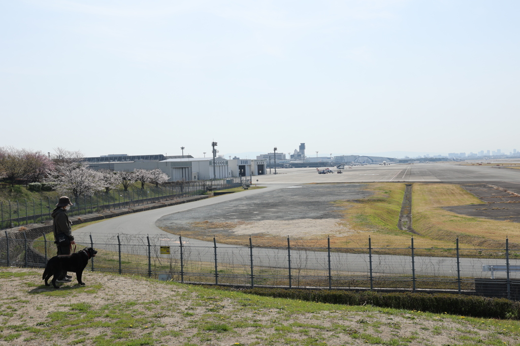良い関係